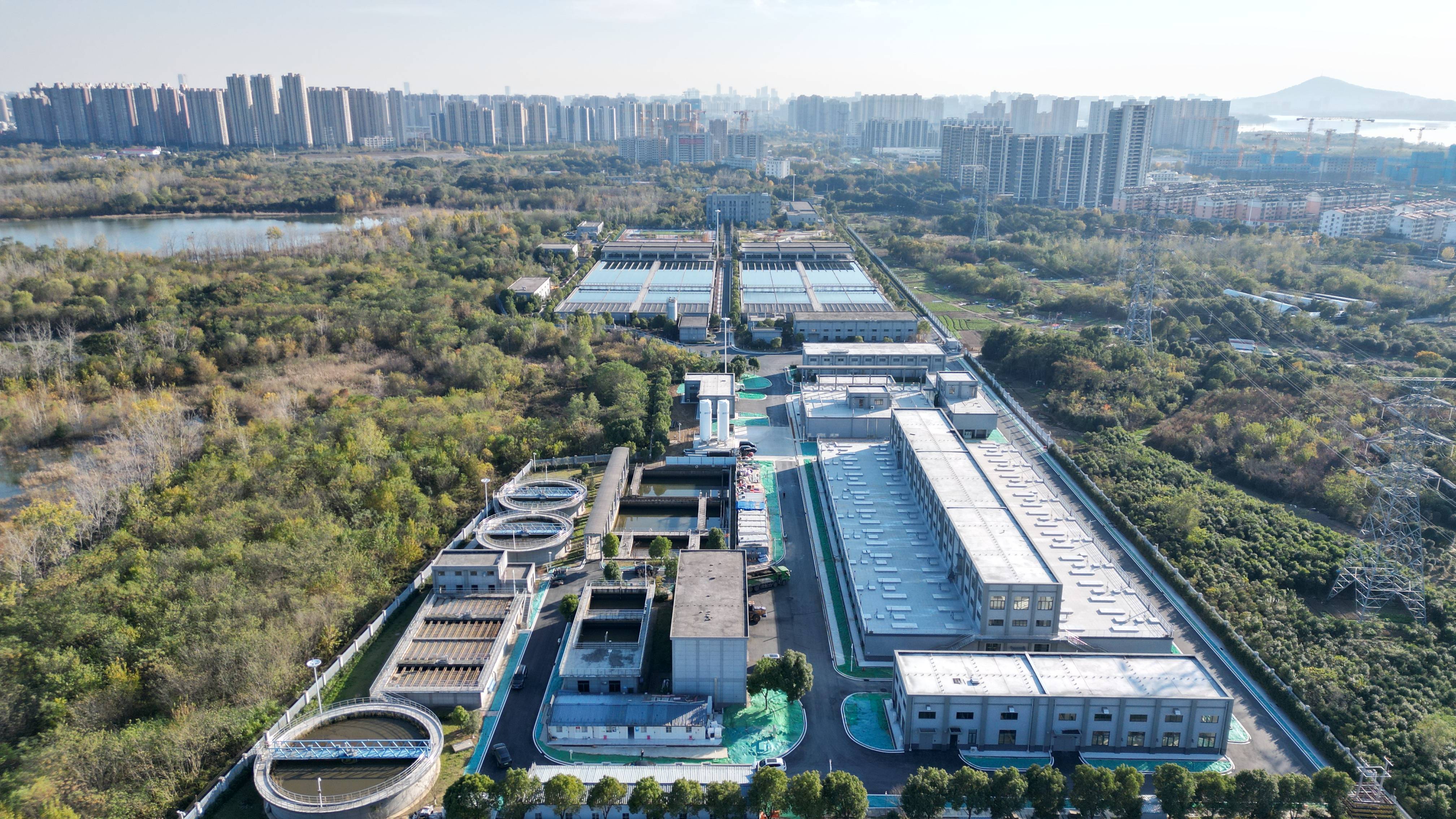 阜新市合肥专业企业价值增长(合肥市重点企业产业目录)