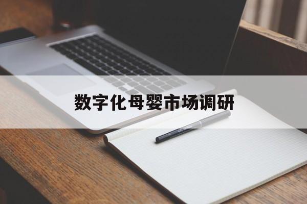 阜新市数字化母婴市场调研(数字化母婴市场调研报告)