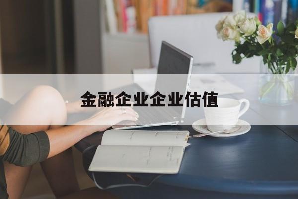 阜新市金融企业企业估值(最新企业估值怎么填)